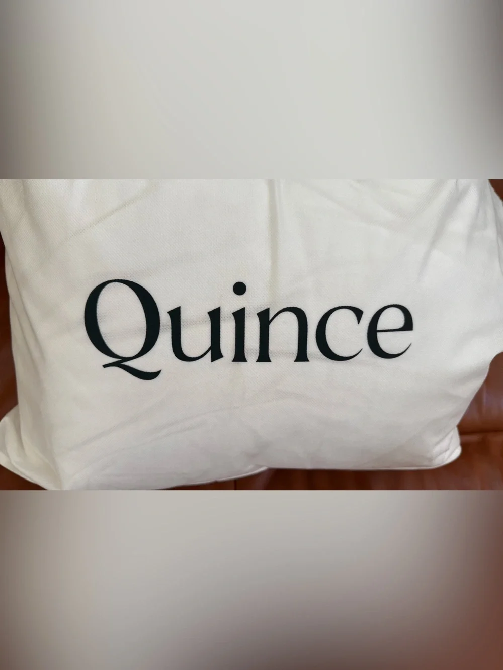NWB Quince Lightweight Premium Down Duvet Insert